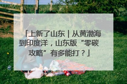 上新了山东｜从黄渤海到印度洋，山东版“零碳攻略”有多能打？