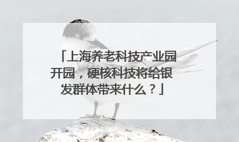 上海养老科技产业园开园，硬核科技将给银发群体带来什么？