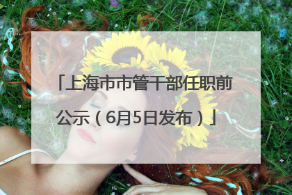 上海市市管干部任职前公示（6月5日发布）