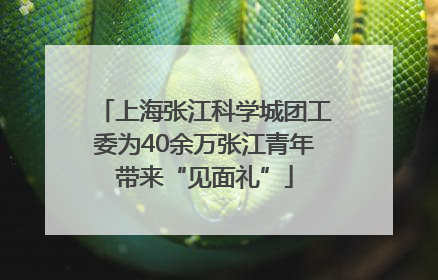 上海张江科学城团工委为40余万张江青年带来“见面礼”