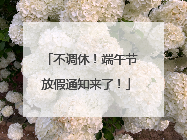 不调休！端午节放假通知来了！