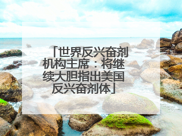 世界反兴奋剂机构主席：将继续大胆指出美国反兴奋剂体
