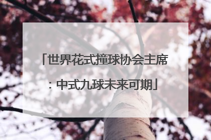 世界花式撞球协会主席：中式九球未来可期