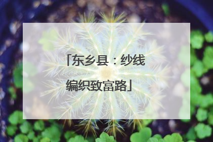 东乡县：纱线编织致富路