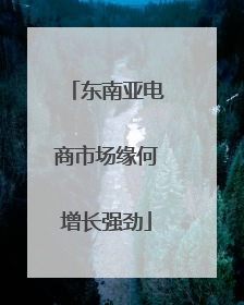 东南亚电商市场缘何增长强劲
