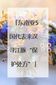 东南亚5国代表来汉寻江豚“保护处方”