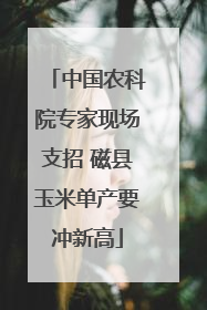 中国农科院专家现场支招 磁县玉米单产要冲新高