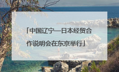 中国辽宁—日本经贸合作说明会在东京举行