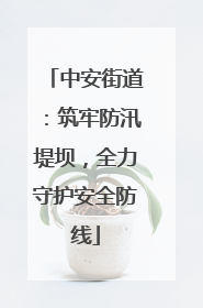 中安街道：筑牢防汛堤坝，全力守护安全防线