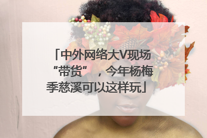 中外网络大V现场“带货”，今年杨梅季慈溪可以这样玩