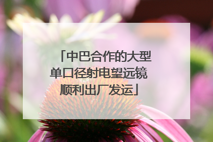 中巴合作的大型单口径射电望远镜顺利出厂发运