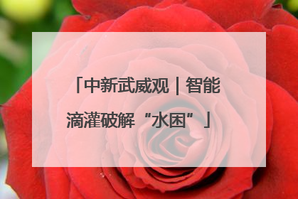 中新武威观｜智能滴灌破解“水困”