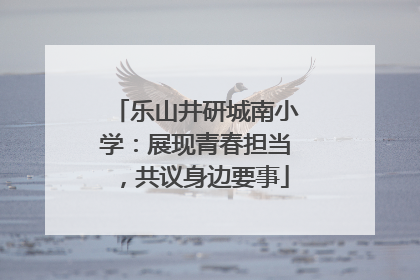 乐山井研城南小学：展现青春担当，共议身边要事