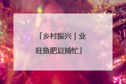 乡村振兴｜业旺鱼肥夏捕忙