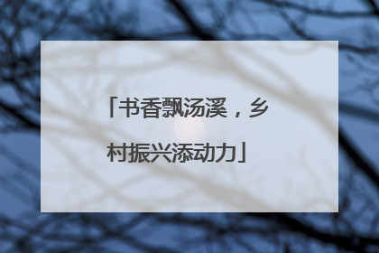 书香飘汤溪，乡村振兴添动力