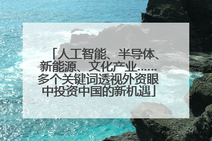 人工智能、半导体、新能源、文化产业……多个关键词透视外资眼中投资中国的新机遇