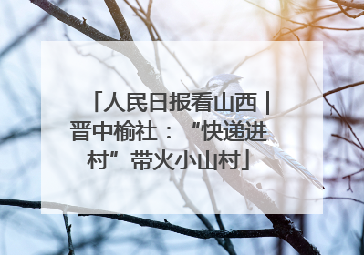 人民日报看山西｜晋中榆社：“快递进村”带火小山村