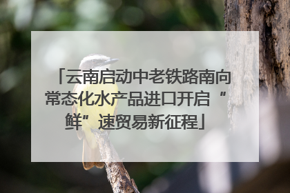 云南启动中老铁路南向常态化水产品进口开启“鲜”速贸易新征程