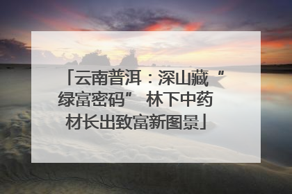 云南普洱：深山藏“绿富密码” 林下中药材长出致富新图景
