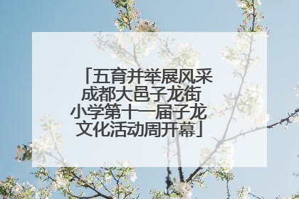 五育并举展风采 成都大邑子龙街小学第十一届子龙文化活动周开幕