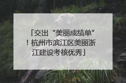 交出“美丽成绩单”！杭州市滨江区美丽浙江建设考核优秀
