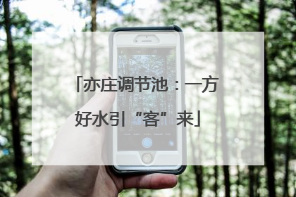 亦庄调节池：一方好水引“客”来