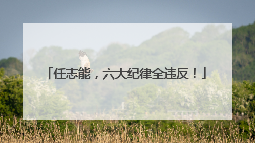 任志能，六大纪律全违反！