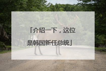 介绍一下，这位是韩国新任总统