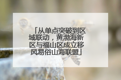 从单点突破到区域联动，黄渤海新区与福山区成立移风易俗山海联盟