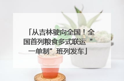 从吉林驶向全国！全国首列粮食多式联运“一单制”班列发车