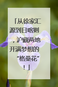 从徐家汇源到日喀则，沪藏两地开满梦想的“格桑花”！
