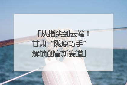 从指尖到云端！甘肃“陇原巧手”解锁创富新赛道