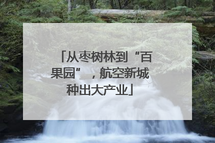从枣树林到“百果园”，航空新城种出大产业