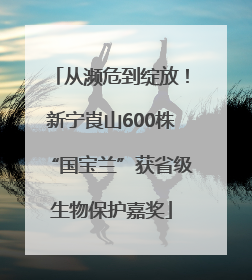 从濒危到绽放！新宁崀山600株“国宝兰”获省级生物保护嘉奖