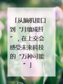 从脑机接口到“月壤成纤”，在上交会感受未来科技的“万种可能”