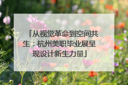 从视觉革命到空间共生：杭州美职毕业展呈现设计新生力量