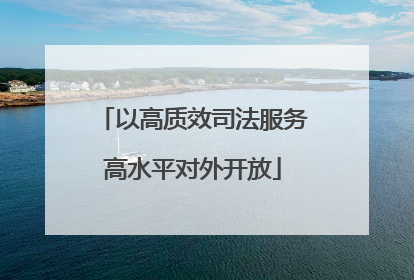 以高质效司法服务高水平对外开放