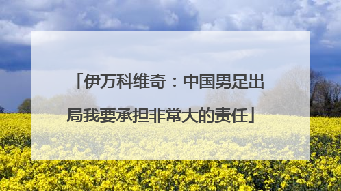 伊万科维奇：中国男足出局我要承担非常大的责任