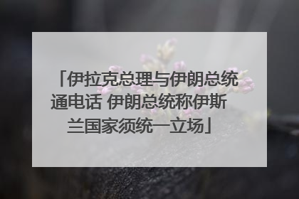 伊拉克总理与伊朗总统通电话 伊朗总统称伊斯兰国家须统一立场