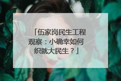 伍家岗民生工程观察：小确幸如何织就大民生？