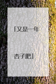 又是一年杏子肥