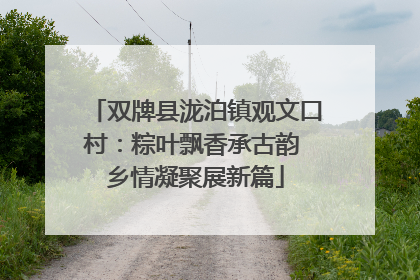 双牌县泷泊镇观文口村：粽叶飘香承古韵 乡情凝聚展新篇