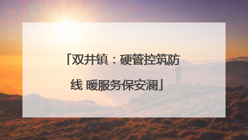 双井镇：硬管控筑防线 暖服务保安澜
