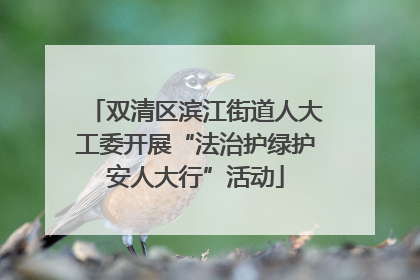 双清区滨江街道人大工委开展“法治护绿护安人大行”活动