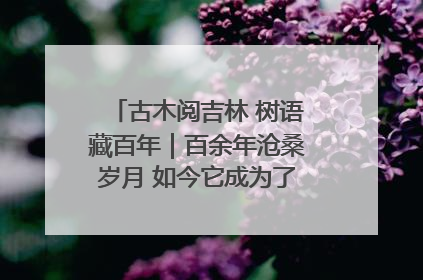 古木阅吉林 树语藏百年｜百余年沧桑岁月 如今它成为了“镇园之宝”