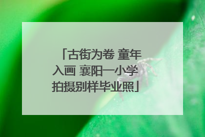 古街为卷 童年入画 襄阳一小学拍摄别样毕业照