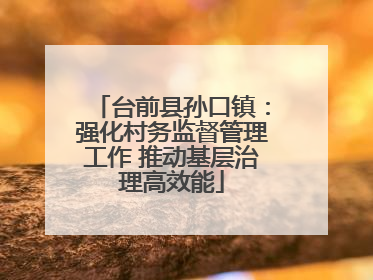 台前县孙口镇：强化村务监督管理工作 推动基层治理高效能