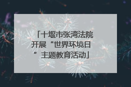 十堰市张湾法院开展“世界环境日”主题教育活动