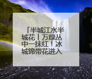 半城江水半城花丨万绿丛中一抹红！冰城锦带花进入盛花期