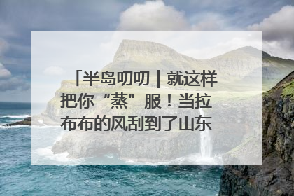 半岛叨叨｜就这样把你“蒸”服！当拉布布的风刮到了山东馒头界……